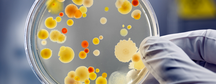 Infection and Disease