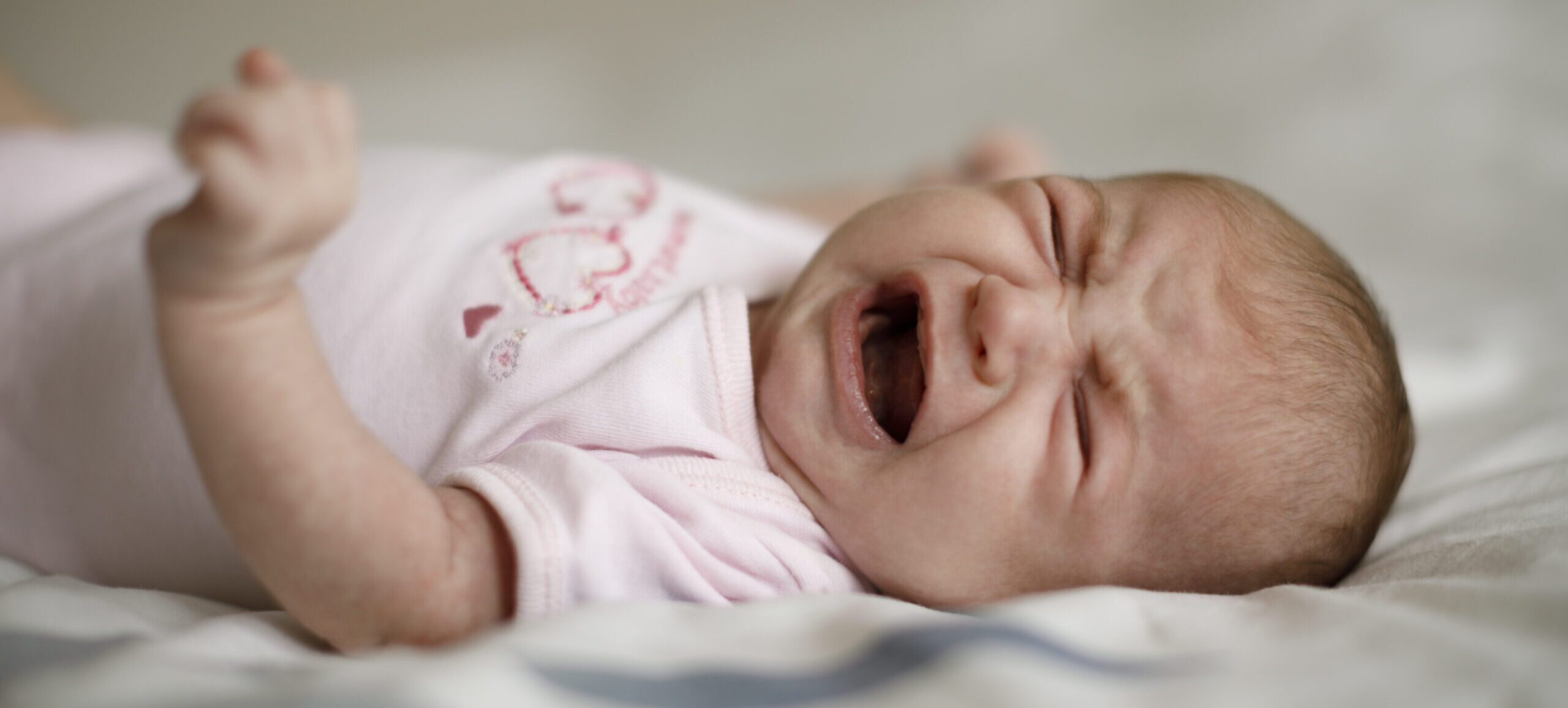Infant